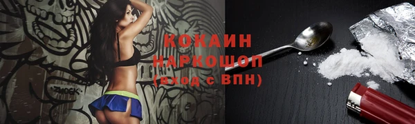 mix Бородино
