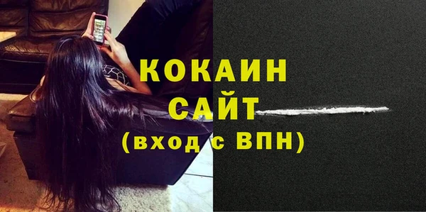 2c-b Богородицк