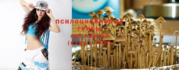 2c-b Богородицк