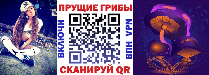 Псилоцибиновые грибы мицелий  Купить  Большой Камень 